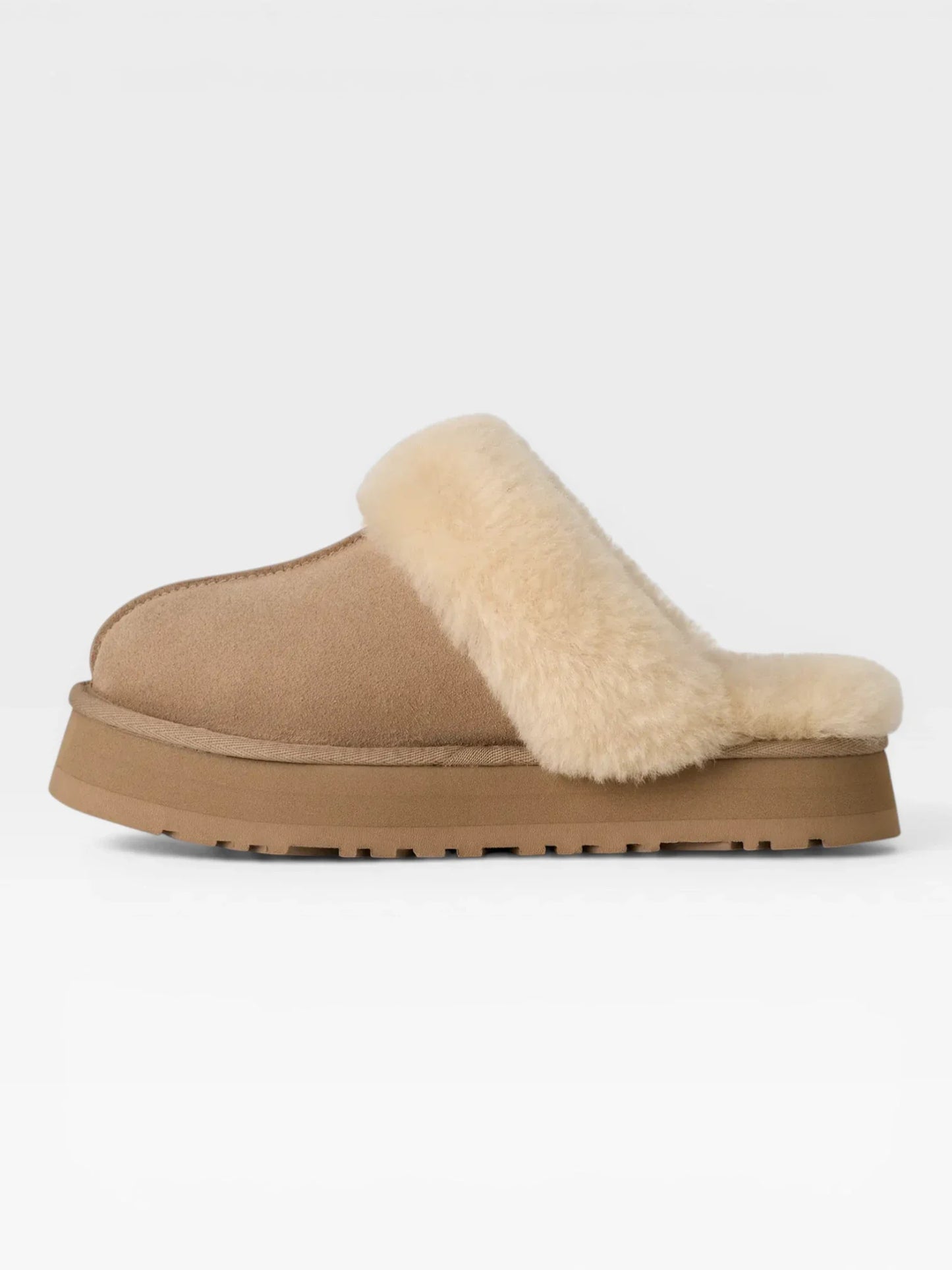 Disquette Slipper