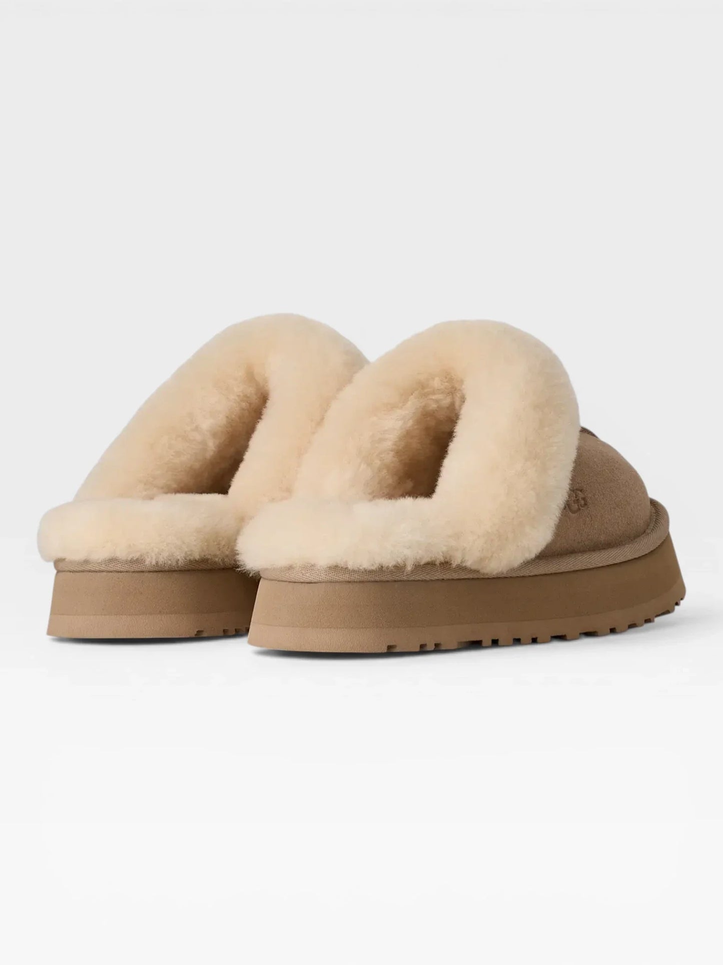 Disquette Slipper