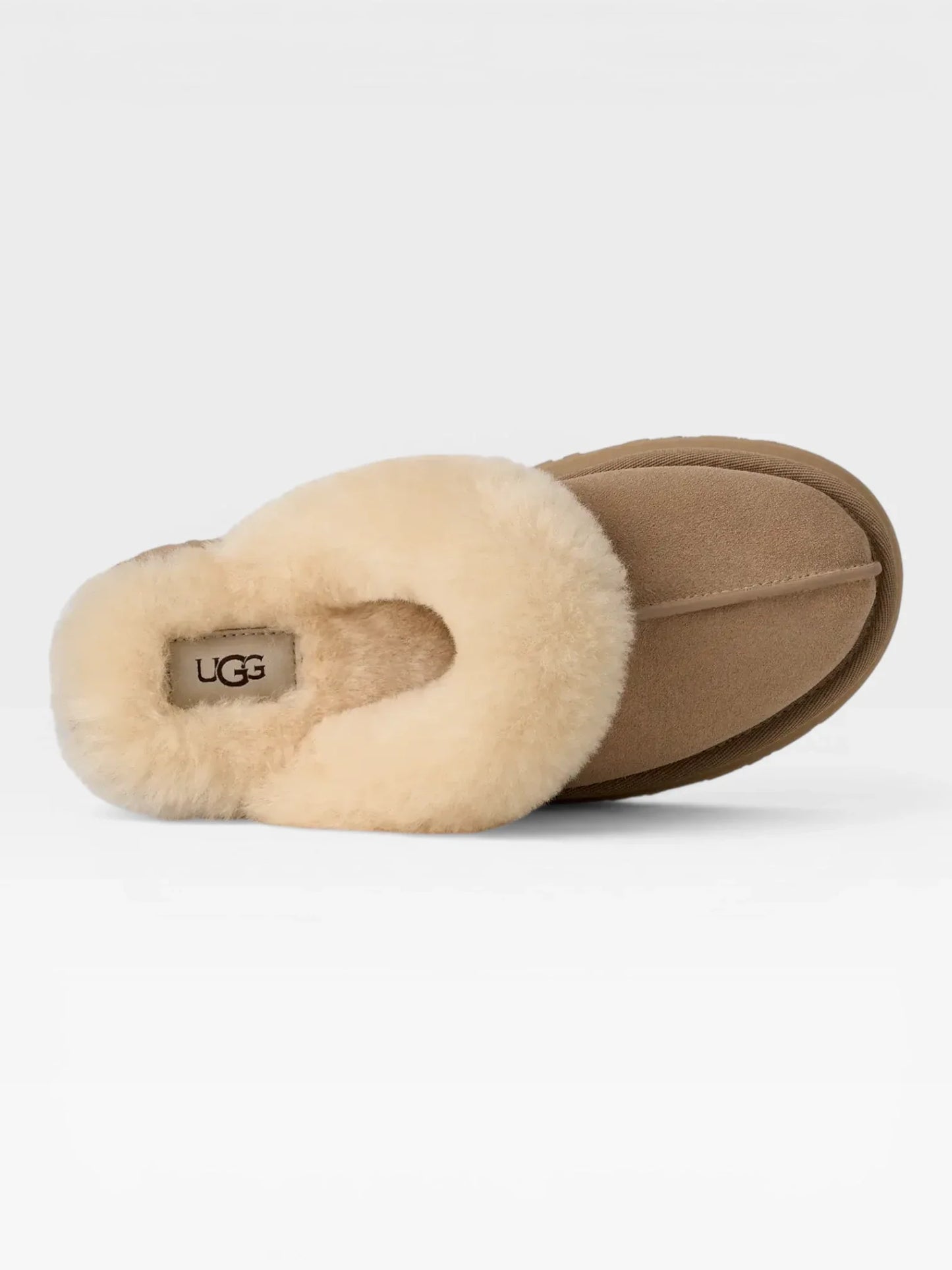 Disquette Slipper