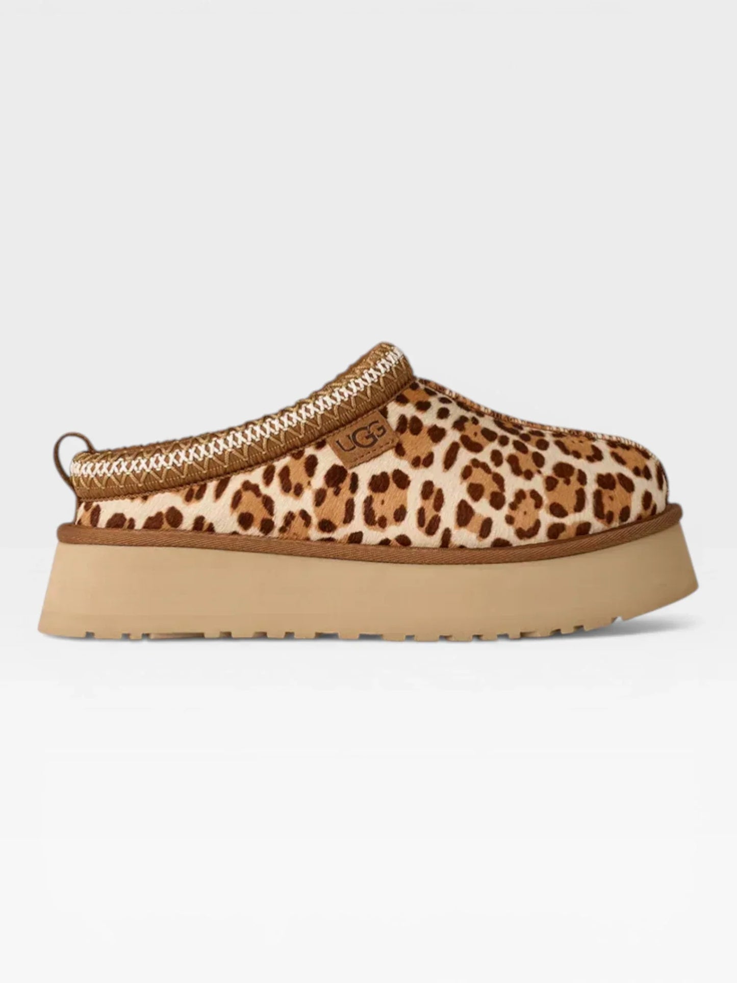 Tazz Leopard